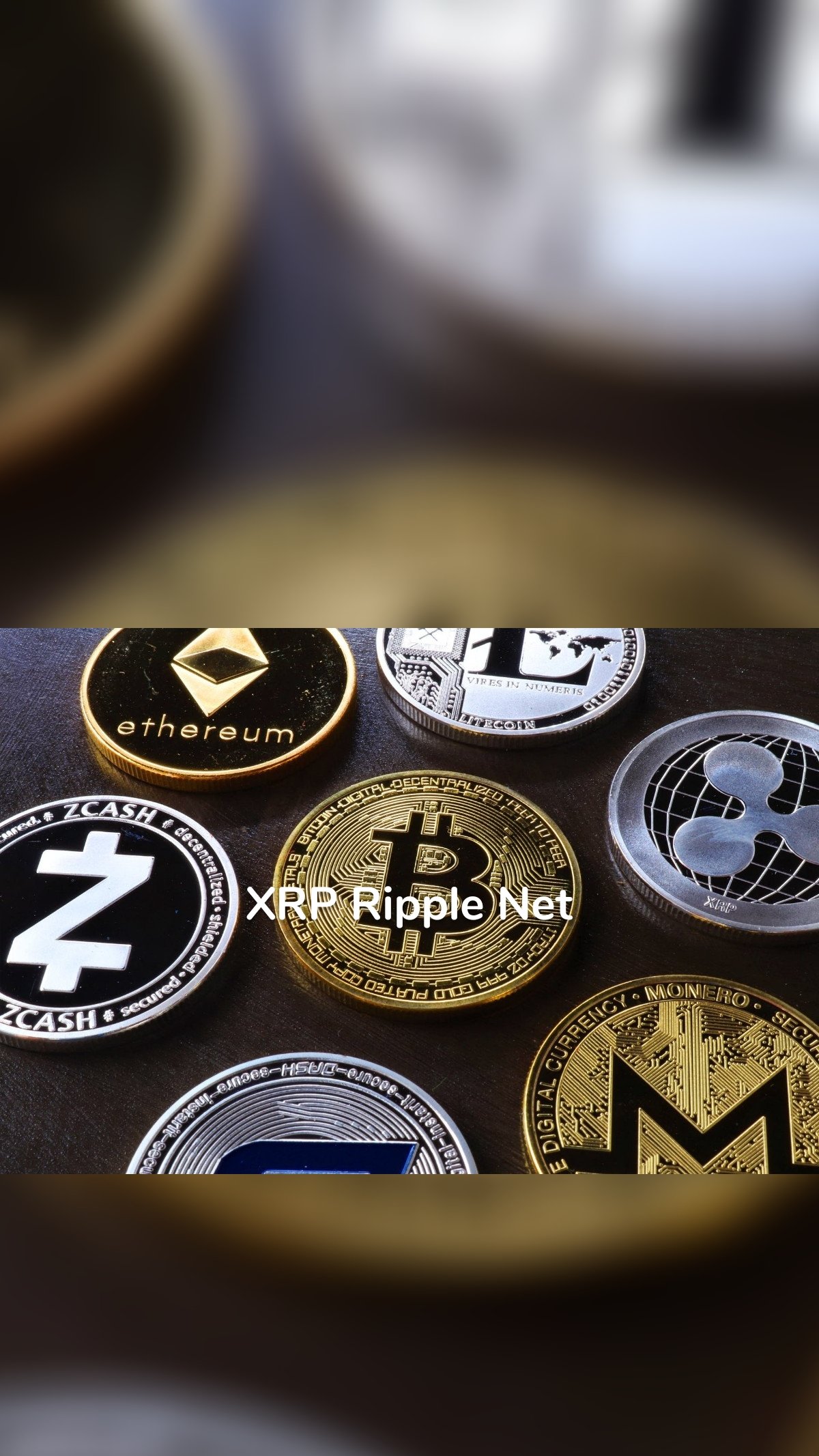 XRP Ripple Net